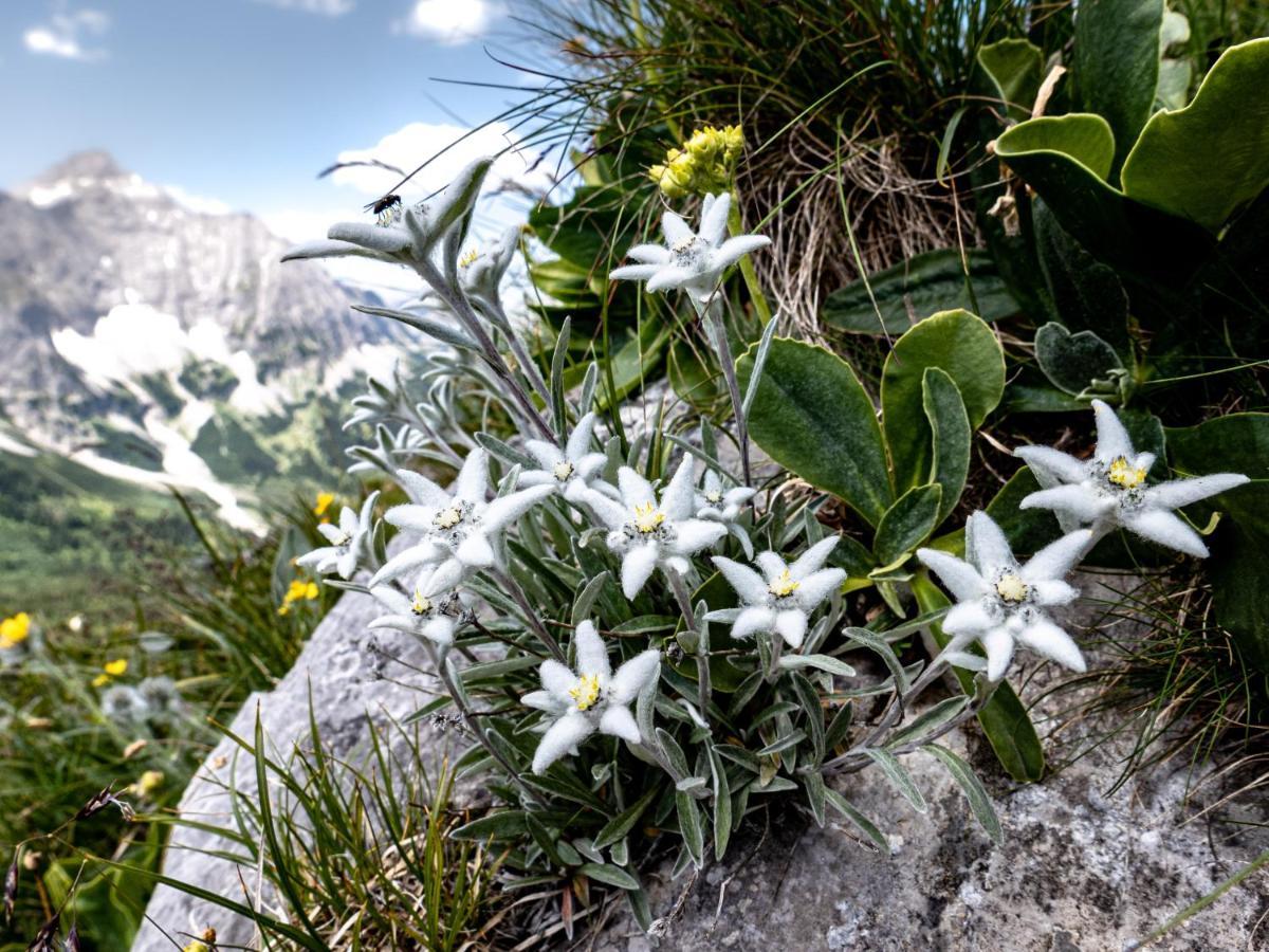 Das Naturhotel Die Eng Hinterriss Eksteriør bilde